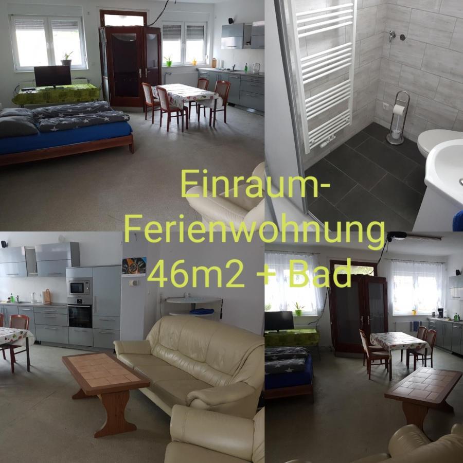 Einraum-Ferienwohnung 46M2 Eisenhuettenstadt-Diehlo Екстер'єр фото